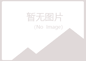 日照岚山蓝天能源有限公司